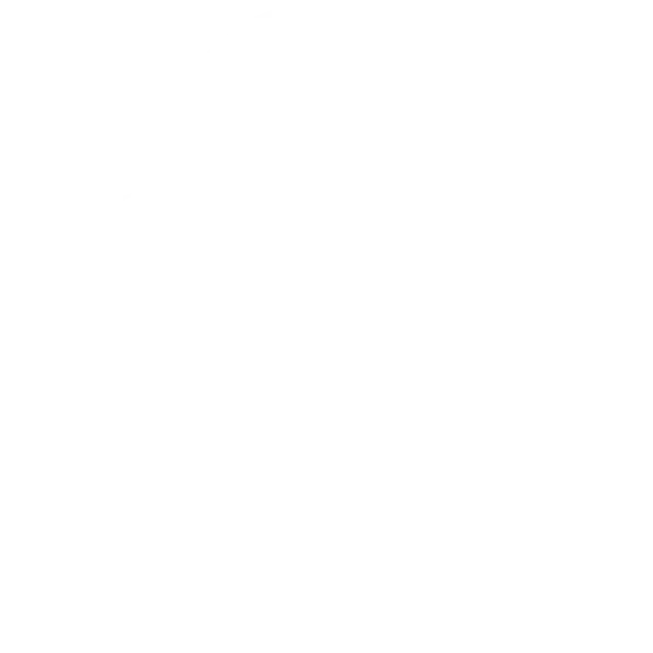 The Lakes Distillery