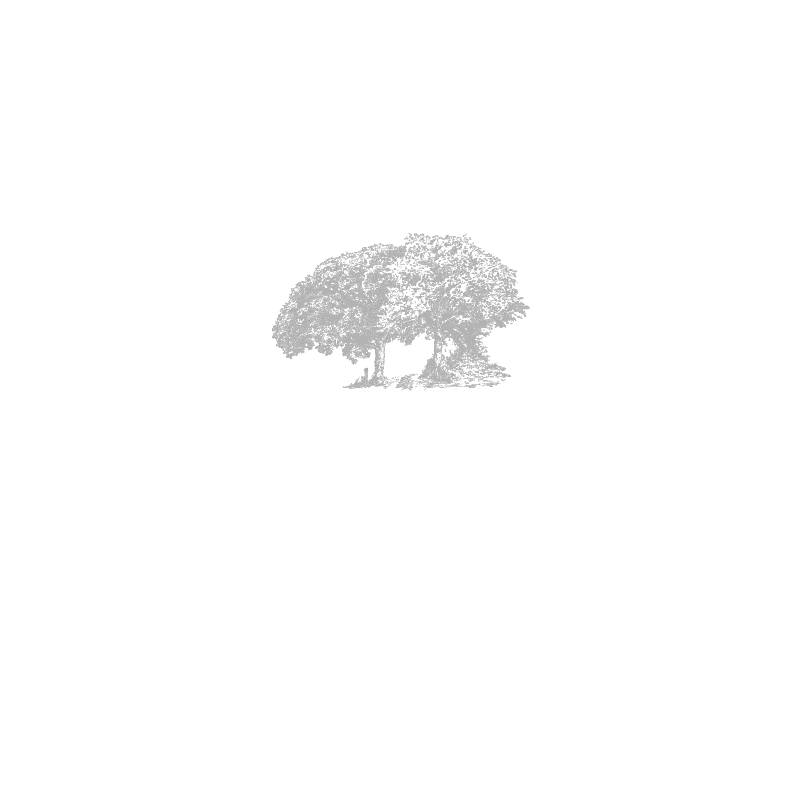 Tipperary Boutique Distillery